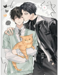 GIẢ THIẾU GIA HẮN CÓ Ý ĐỒ VỚI TÔI TỪ LÂU